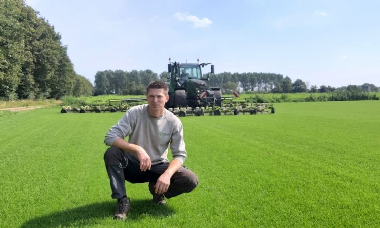 Grote graszodenvelden op een professionele graszodenkwekerij