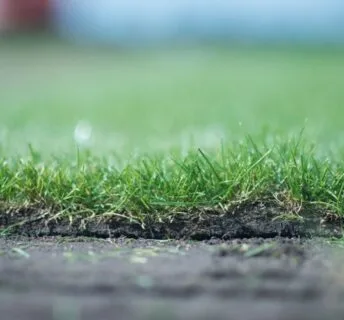 Mooie detailfoto van rand van graszoden
