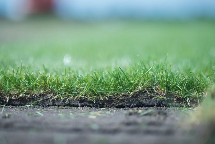 Mooie detailfoto van rand van graszoden