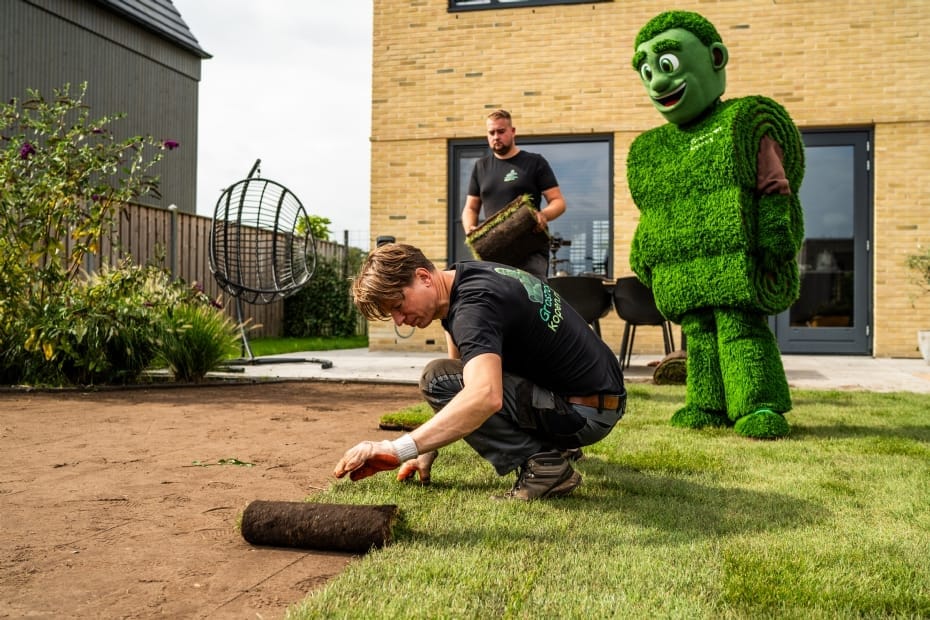Mascotte van Graszodenkopen helpt bij het leggen van graszoden