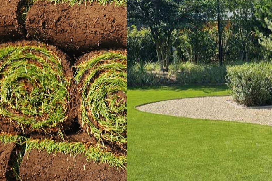 Rollen graszoden naast een strak aangelegd gazon in een tuin