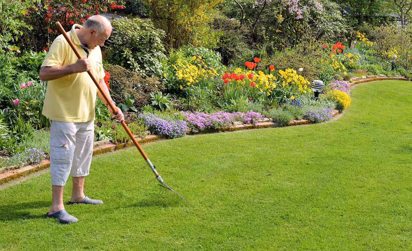 Man die het gras netjes aanharkt in het voorjaar als alle planten in bloei staan