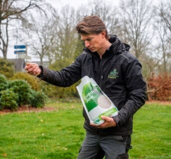 Hovenier strooit aanlegbemesting handmatig over het gazon